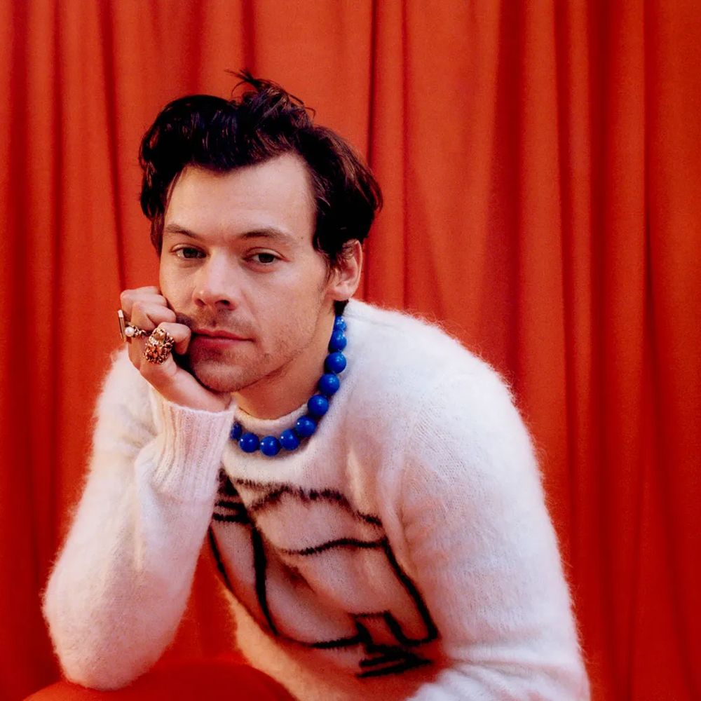 Гаррі Стайлз розповів, навіщо насправді сидить у додатку для знайомств